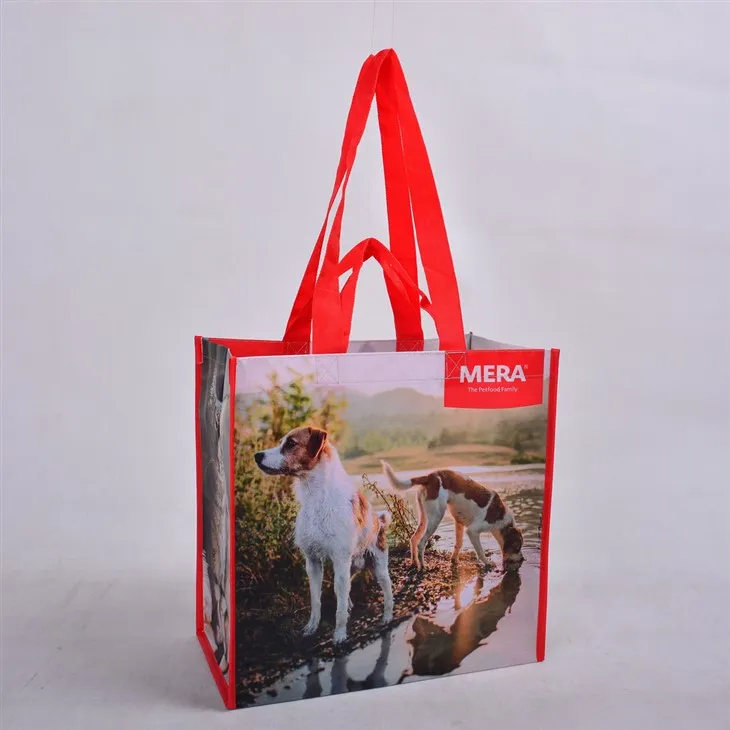 Reilun kaupan kierrätetyt ostoskassit